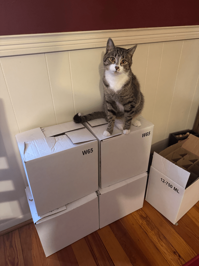 Buffet the Package Manager